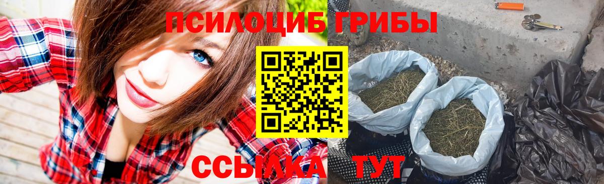 Татарск  закладка  Вход с VPN  Галлюциногенные грибы Psilocybine cubensis  Галлюциногенные грибы ЛСД 